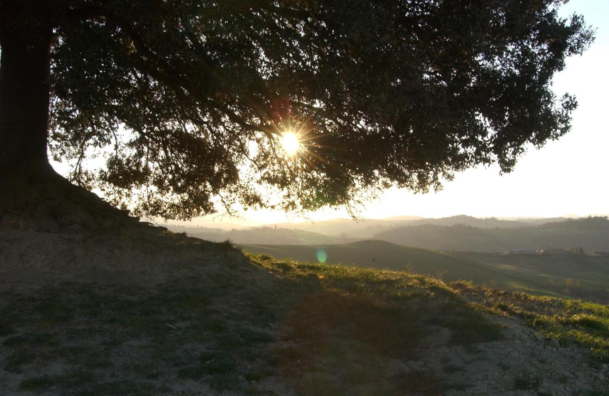 Fattoria Pieve A Salti Villa บูอนคอนเวนโต ภายนอก รูปภาพ