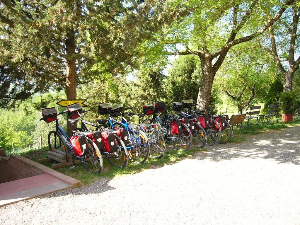 Fattoria Pieve A Salti Villa บูอนคอนเวนโต ภายนอก รูปภาพ