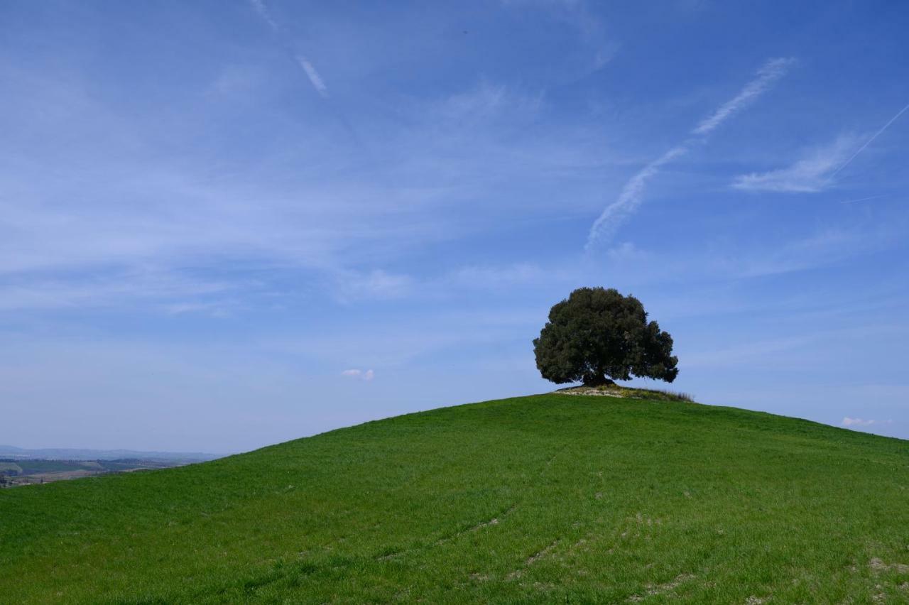 Fattoria Pieve A Salti Villa บูอนคอนเวนโต ภายนอก รูปภาพ