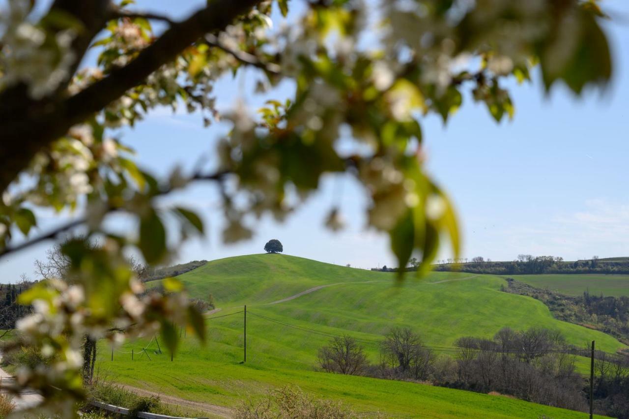 Fattoria Pieve A Salti Villa บูอนคอนเวนโต ภายนอก รูปภาพ